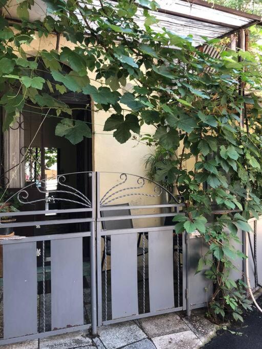 Nataly Apartament-Old Tbilisi Center Exteriör bild
